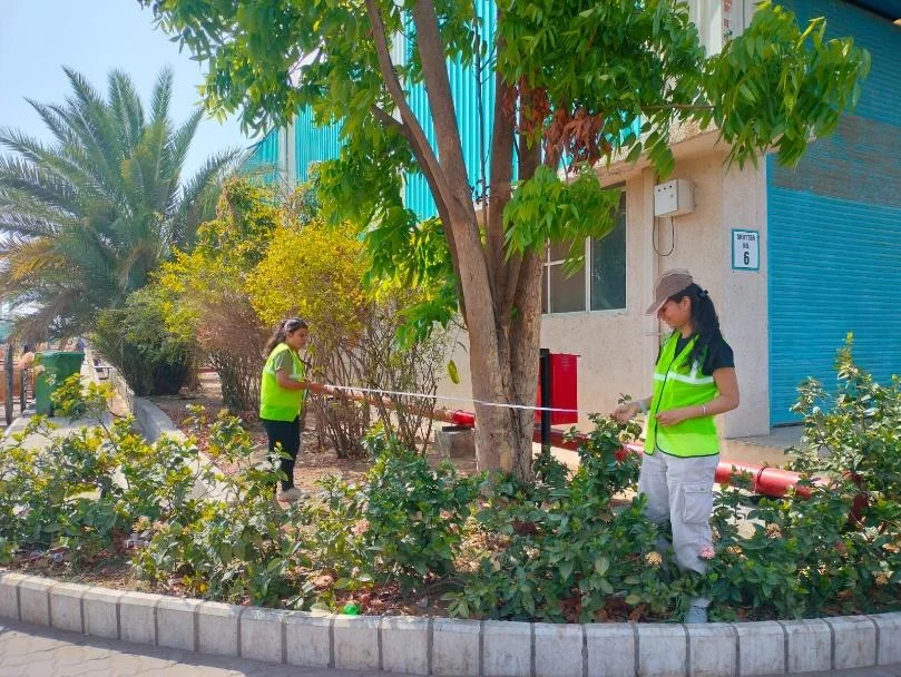 Tree parameter measurements by field officers at RR Kabel