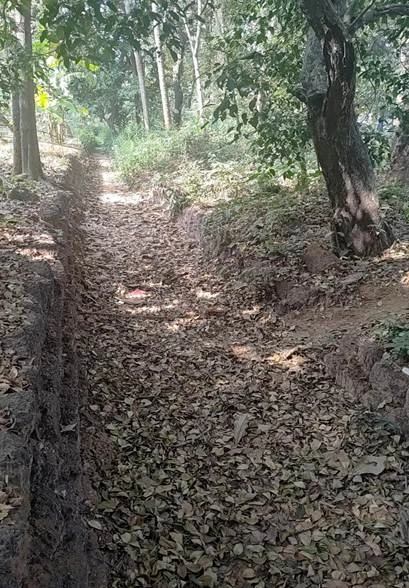 Well-preserved Section