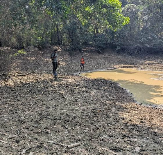 Geotagging and Field Data