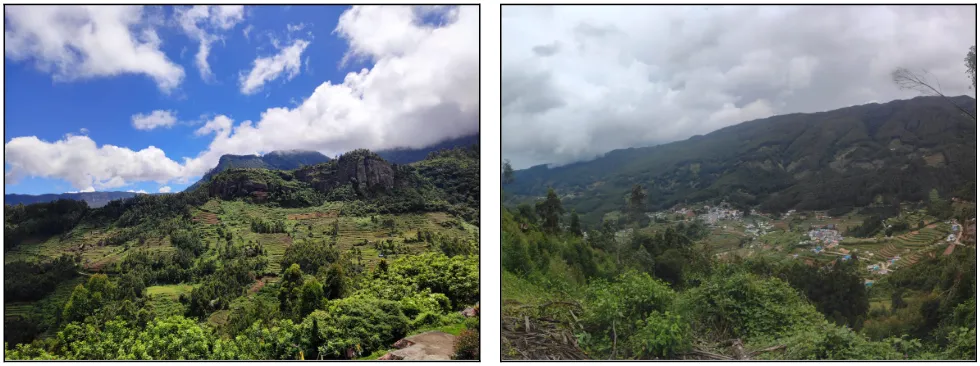 Undulated Topography of Vattavada