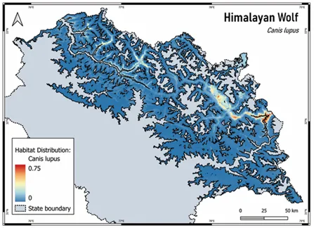 Himalayan wolf distribution model
