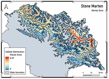 Stone marten distribution model